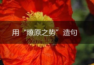 用“燎原之势”造句