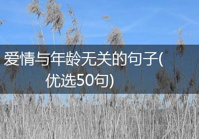 爱情与年龄无关的句子(优选50句)