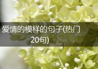 爱情的模样的句子(热门20句)