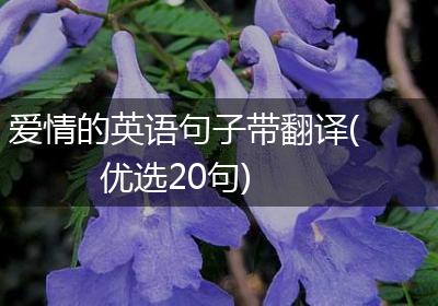 爱情的英语句子带翻译(优选20句)