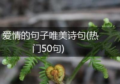 爱情的句子唯美诗句(热门50句)