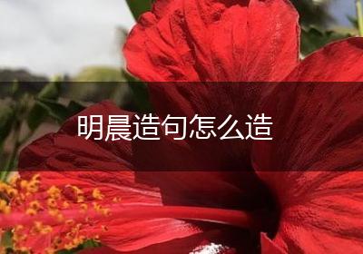 明晨造句怎么造