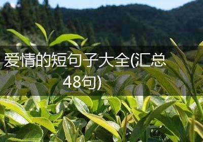 爱情的短句子大全(汇总48句)