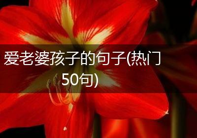 爱老婆孩子的句子(热门50句)