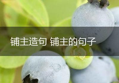 铺主造句 铺主的句子