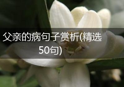 父亲的病句子赏析(精选50句)