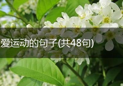 爱运动的句子(共48句)