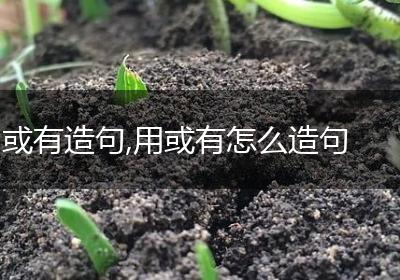 或有造句,用或有怎么造句