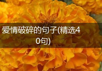 爱情破碎的句子(精选40句)