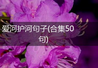 爱河护河句子(合集50句)