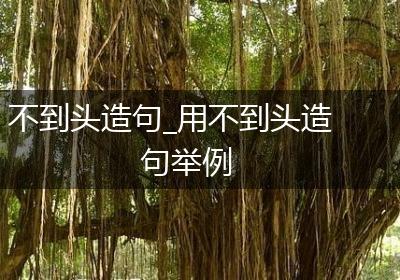 不到头造句_用不到头造句举例