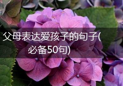 父母表达爱孩子的句子(必备50句)