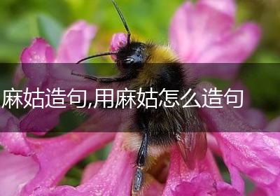 麻姑造句,用麻姑怎么造句