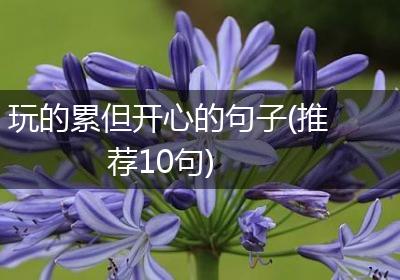 玩的累但开心的句子(推荐10句)