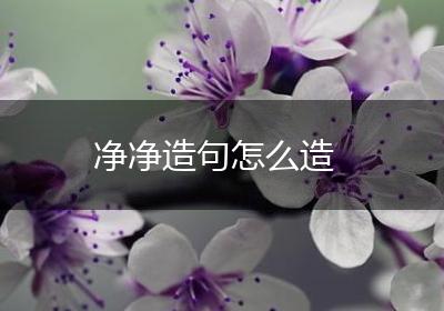 净净造句怎么造