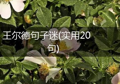 王尔德句子迷(实用20句)