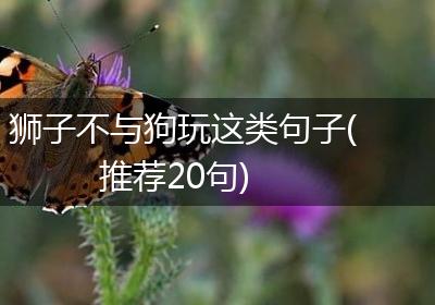 狮子不与狗玩这类句子(推荐20句)