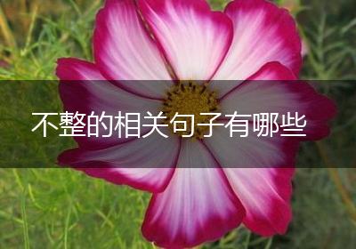 不整的相关句子有哪些