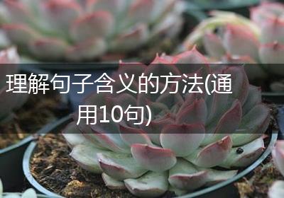 理解句子含义的方法(通用10句)