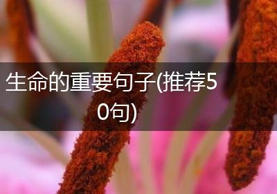 生命的重要句子(推荐50句)