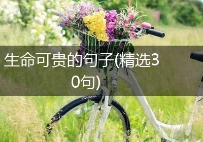 生命可贵的句子(精选30句)