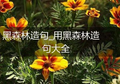 黑森林造句_用黑森林造句大全