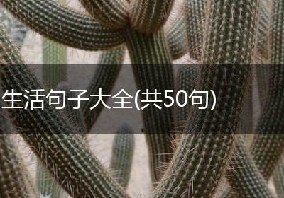 生活句子大全(共50句)
