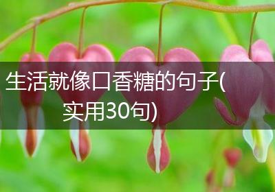 生活就像口香糖的句子(实用30句)