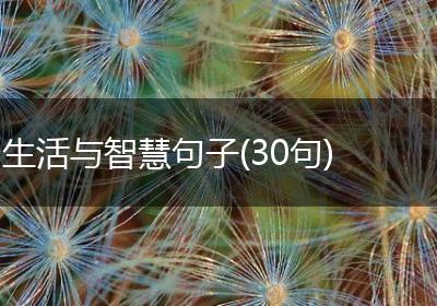 生活与智慧句子(30句)