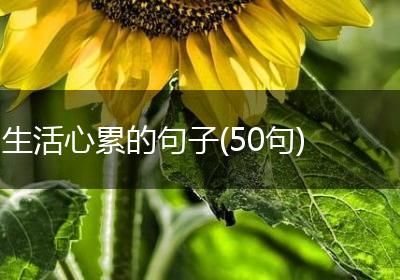 生活心累的句子(50句)