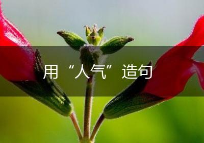 用“人气”造句
