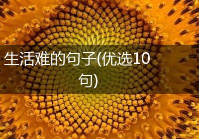 生活难的句子(优选10句)