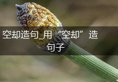 空却造句_用“空却”造句子