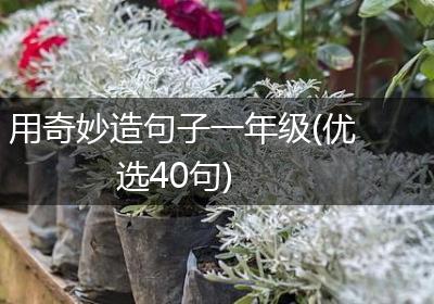 用奇妙造句子一年级(优选40句)