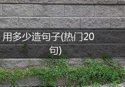 用多少造句子(热门20句)