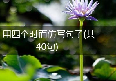 用四个时而仿写句子(共40句)