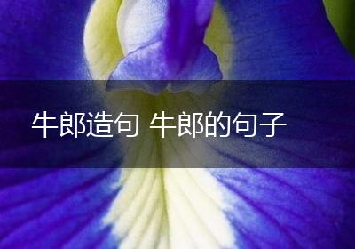 牛郎造句 牛郎的句子