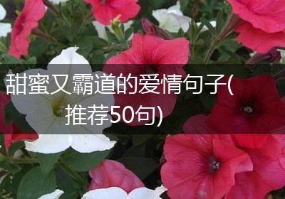 甜蜜又霸道的爱情句子(推荐50句)