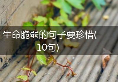 生命脆弱的句子要珍惜(10句)