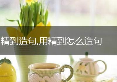 精到造句,用精到怎么造句