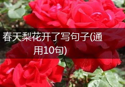 春天梨花开了写句子(通用10句)