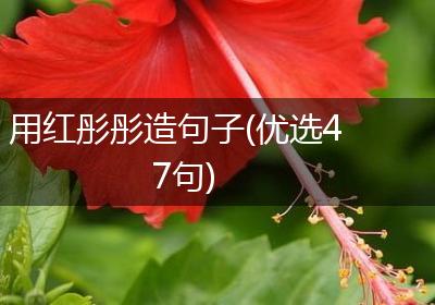 用红彤彤造句子(优选47句)