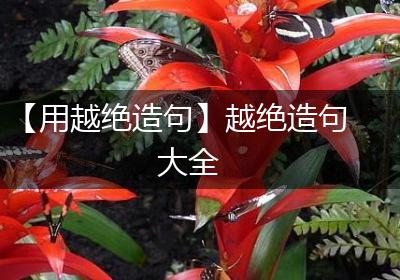 【用越绝造句】越绝造句大全