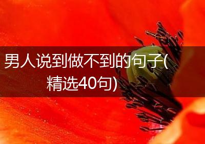 男人说到做不到的句子(精选40句)