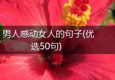男人感动女人的句子(优选50句)