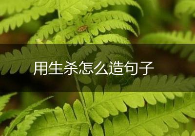 用生杀怎么造句子