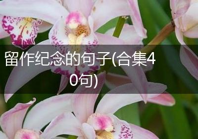 留作纪念的句子(合集40句)