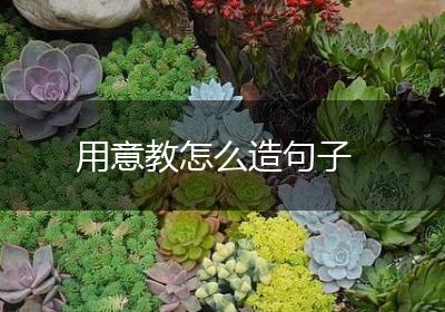 用意教怎么造句子