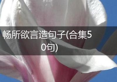 畅所欲言造句子(合集50句)