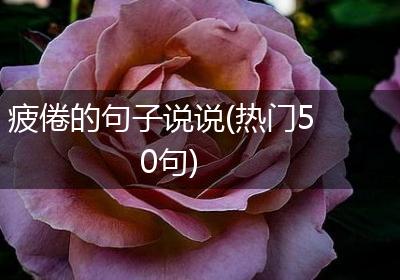 疲倦的句子说说(热门50句)